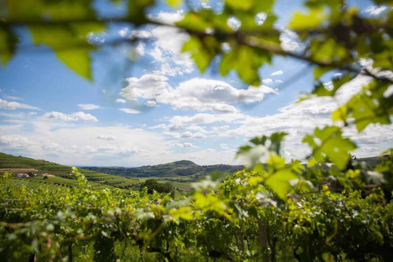 Massimago Wine Relais Villa Mezzane di Sotto Eksteriør bilde
